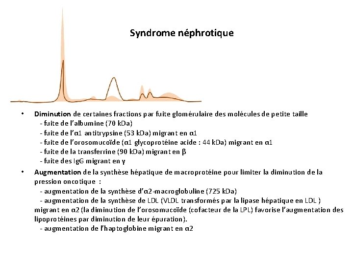 Syndrome néphrotique • • Diminution de certaines fractions par fuite glomérulaire des molécules de