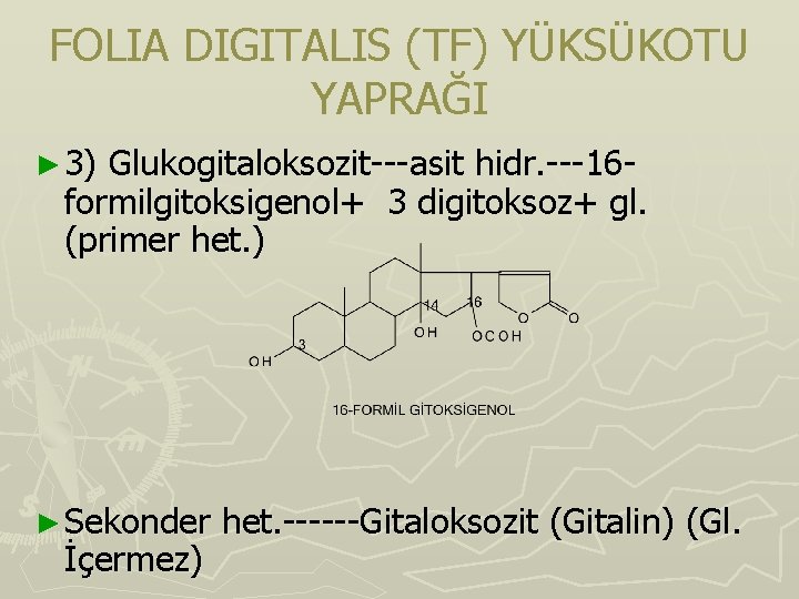 FOLIA DIGITALIS (TF) YÜKSÜKOTU YAPRAĞI ► 3) Glukogitaloksozit---asit hidr. ---16 formilgitoksigenol+ 3 digitoksoz+ gl. FOLIA DIGITALIS (TF) YÜKSÜKOTU YAPRAĞI ► 3) Glukogitaloksozit---asit hidr. ---16 formilgitoksigenol+ 3 digitoksoz+ gl.