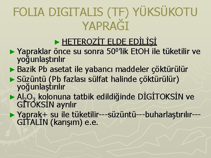 FOLIA DIGITALIS (TF) YÜKSÜKOTU YAPRAĞI ► HETEROZİT ELDE EDİLİŞİ ► Yapraklar önce su sonra FOLIA DIGITALIS (TF) YÜKSÜKOTU YAPRAĞI ► HETEROZİT ELDE EDİLİŞİ ► Yapraklar önce su sonra