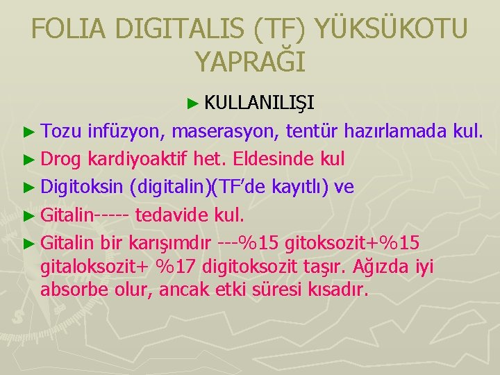 FOLIA DIGITALIS (TF) YÜKSÜKOTU YAPRAĞI ► KULLANILIŞI ► Tozu infüzyon, maserasyon, tentür hazırlamada kul. FOLIA DIGITALIS (TF) YÜKSÜKOTU YAPRAĞI ► KULLANILIŞI ► Tozu infüzyon, maserasyon, tentür hazırlamada kul.