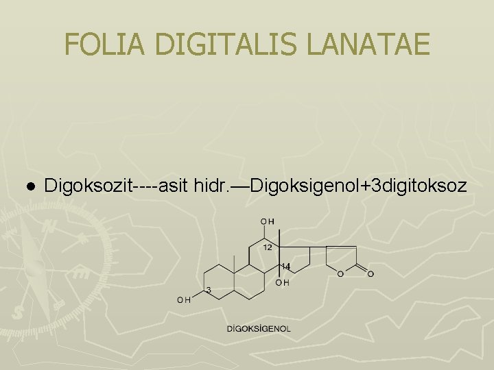 FOLIA DIGITALIS LANATAE l Digoksozit----asit hidr. —Digoksigenol+3 digitoksoz FOLIA DIGITALIS LANATAE l Digoksozit----asit hidr. —Digoksigenol+3 digitoksoz