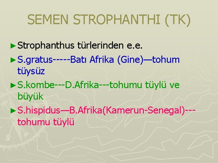 SEMEN STROPHANTHI (TK) ► Strophanthus türlerinden e. e. ► S. gratus-----Batı Afrika (Gine)—tohum tüysüz SEMEN STROPHANTHI (TK) ► Strophanthus türlerinden e. e. ► S. gratus-----Batı Afrika (Gine)—tohum tüysüz
