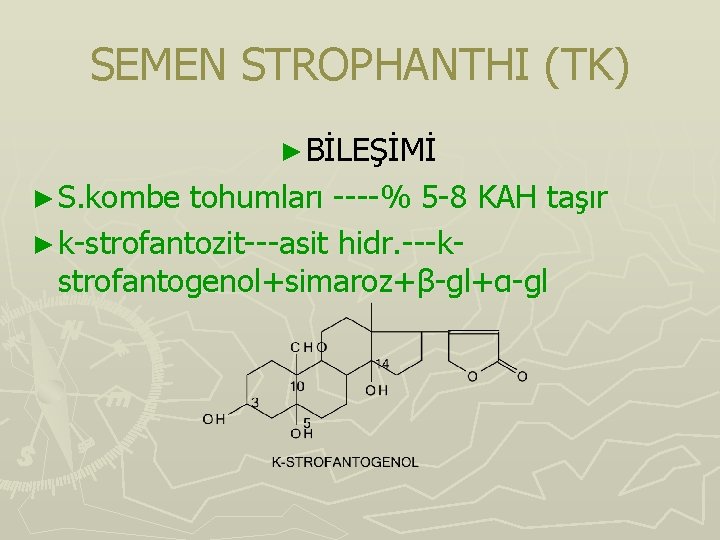SEMEN STROPHANTHI (TK) ► BİLEŞİMİ ► S. kombe tohumları ----% 5 -8 KAH taşır SEMEN STROPHANTHI (TK) ► BİLEŞİMİ ► S. kombe tohumları ----% 5 -8 KAH taşır