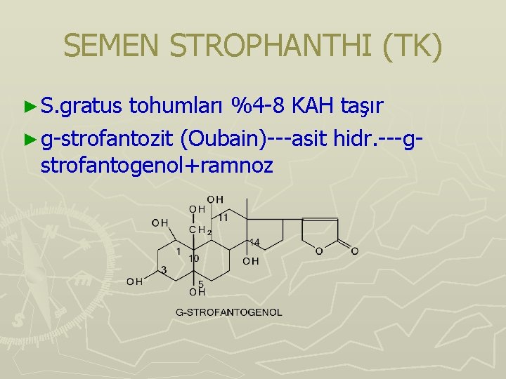 SEMEN STROPHANTHI (TK) ► S. gratus tohumları %4 -8 KAH taşır ► g-strofantozit (Oubain)---asit SEMEN STROPHANTHI (TK) ► S. gratus tohumları %4 -8 KAH taşır ► g-strofantozit (Oubain)---asit