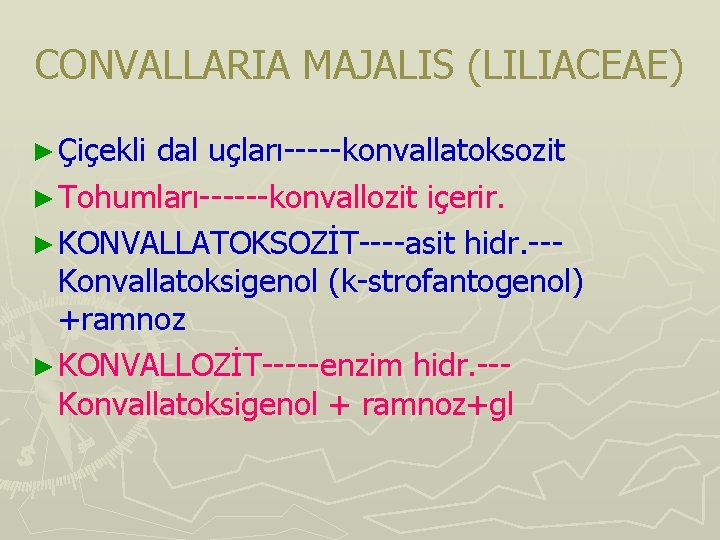 CONVALLARIA MAJALIS (LILIACEAE) ► Çiçekli dal uçları-----konvallatoksozit ► Tohumları------konvallozit içerir. ► KONVALLATOKSOZİT----asit hidr. --Konvallatoksigenol CONVALLARIA MAJALIS (LILIACEAE) ► Çiçekli dal uçları-----konvallatoksozit ► Tohumları------konvallozit içerir. ► KONVALLATOKSOZİT----asit hidr. --Konvallatoksigenol