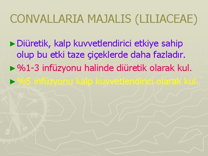 CONVALLARIA MAJALIS (LILIACEAE) ► Diüretik, kalp kuvvetlendirici etkiye sahip olup bu etki taze çiçeklerde CONVALLARIA MAJALIS (LILIACEAE) ► Diüretik, kalp kuvvetlendirici etkiye sahip olup bu etki taze çiçeklerde