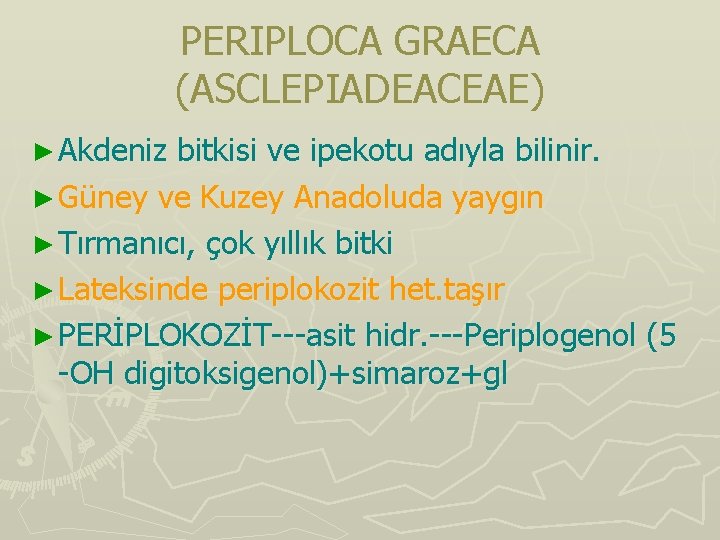 PERIPLOCA GRAECA (ASCLEPIADEACEAE) ► Akdeniz bitkisi ve ipekotu adıyla bilinir. ► Güney ve Kuzey PERIPLOCA GRAECA (ASCLEPIADEACEAE) ► Akdeniz bitkisi ve ipekotu adıyla bilinir. ► Güney ve Kuzey
