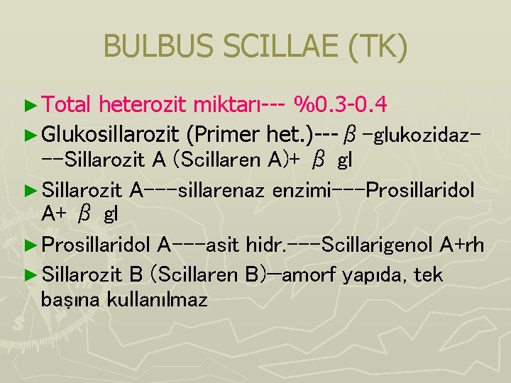 BULBUS SCILLAE (TK) ► Total heterozit miktarı--- %0. 3 -0. 4 ► Glukosillarozit (Primer BULBUS SCILLAE (TK) ► Total heterozit miktarı--- %0. 3 -0. 4 ► Glukosillarozit (Primer