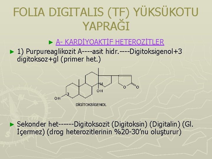 FOLIA DIGITALIS (TF) YÜKSÜKOTU YAPRAĞI A- KARDİYOAKTİF HETEROZİTLER ► 1) Purpureaglikozit A----asit hidr. ----Digitoksigenol+3 FOLIA DIGITALIS (TF) YÜKSÜKOTU YAPRAĞI A- KARDİYOAKTİF HETEROZİTLER ► 1) Purpureaglikozit A----asit hidr. ----Digitoksigenol+3