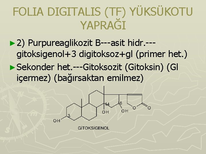 FOLIA DIGITALIS (TF) YÜKSÜKOTU YAPRAĞI ► 2) Purpureaglikozit B---asit hidr. --gitoksigenol+3 digitoksoz+gl (primer het. FOLIA DIGITALIS (TF) YÜKSÜKOTU YAPRAĞI ► 2) Purpureaglikozit B---asit hidr. --gitoksigenol+3 digitoksoz+gl (primer het.