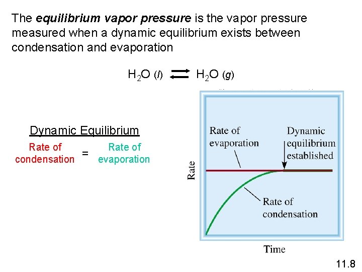 The equilibrium vapor pressure is the vapor pressure measured when a dynamic equilibrium exists