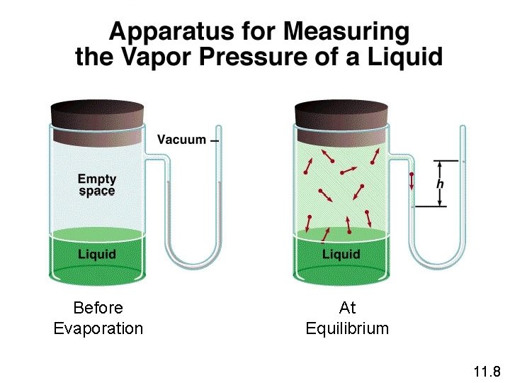 Before Evaporation At Equilibrium 11. 8 