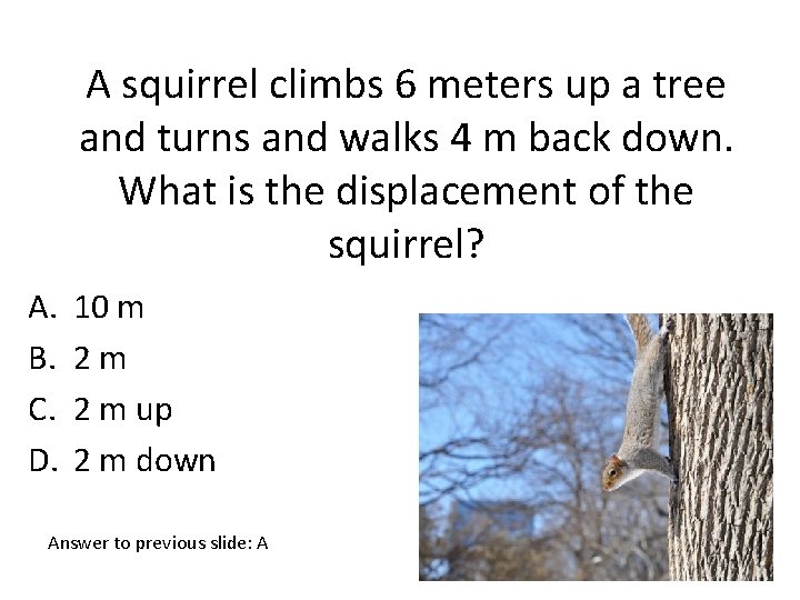 A squirrel climbs 6 meters up a tree and turns and walks 4 m
