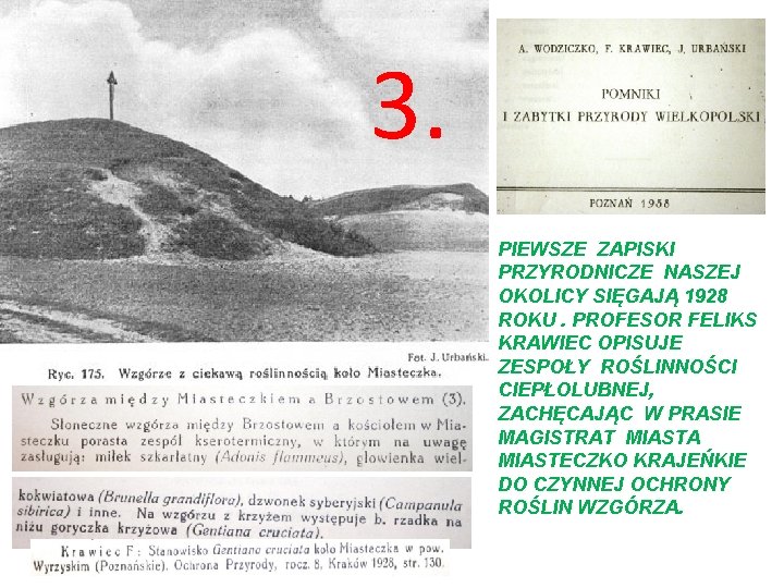 3. PIEWSZE ZAPISKI PRZYRODNICZE NASZEJ OKOLICY SIĘGAJĄ 1928 ROKU. PROFESOR FELIKS KRAWIEC OPISUJE ZESPOŁY