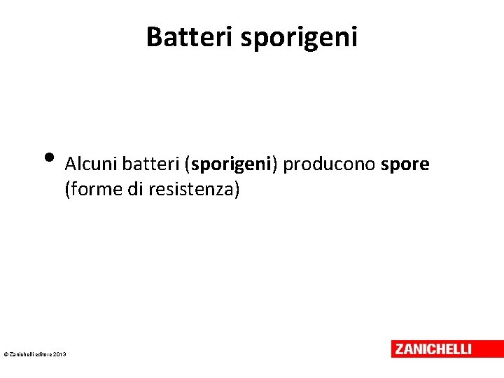 Batteri sporigeni • Alcuni batteri (sporigeni) producono spore (forme di resistenza) © Zanichelli editore