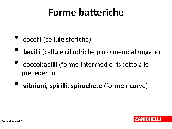 Forme batteriche • • cocchi (cellule sferiche) bacilli (cellule cilindriche più o meno allungate)