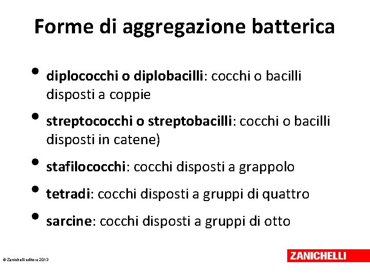 Forme di aggregazione batterica • diplococchi o diplobacilli: cocchi o bacilli disposti a coppie