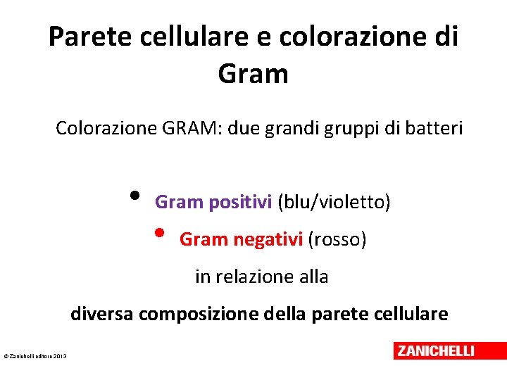 Parete cellulare e colorazione di Gram Colorazione GRAM: due grandi gruppi di batteri •