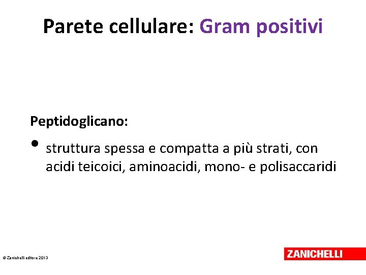 Parete cellulare: Gram positivi Peptidoglicano: • struttura spessa e compatta a più strati, con