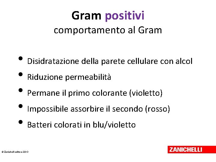 Gram positivi comportamento al Gram • Disidratazione della parete cellulare con alcol • Riduzione