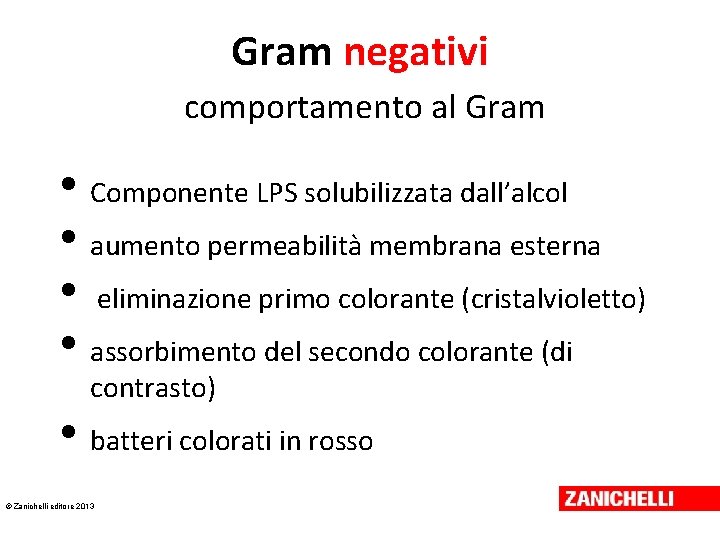 Gram negativi comportamento al Gram • Componente LPS solubilizzata dall’alcol • aumento permeabilità membrana