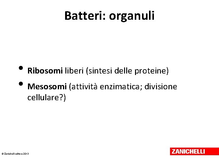 Batteri: organuli • Ribosomi liberi (sintesi delle proteine) • Mesosomi (attività enzimatica; divisione cellulare?