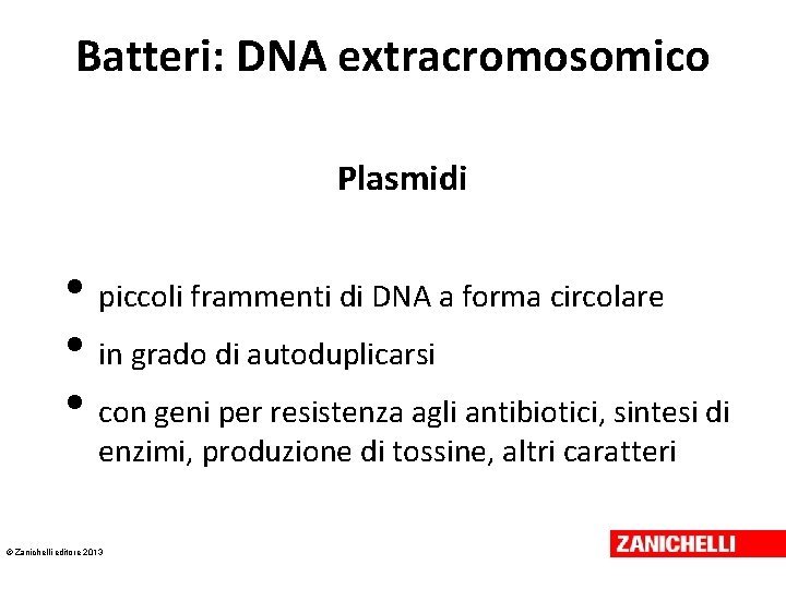 Batteri: DNA extracromosomico Plasmidi • piccoli frammenti di DNA a forma circolare • in