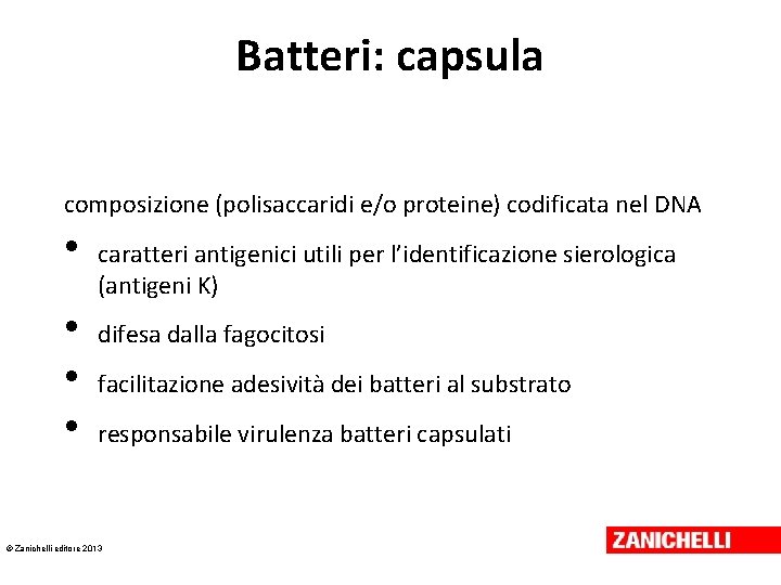 Batteri: capsula composizione (polisaccaridi e/o proteine) codificata nel DNA • • caratteri antigenici utili