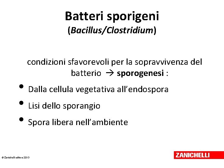 Batteri sporigeni (Bacillus/Clostridium) condizioni sfavorevoli per la sopravvivenza del batterio sporogenesi : • Dalla