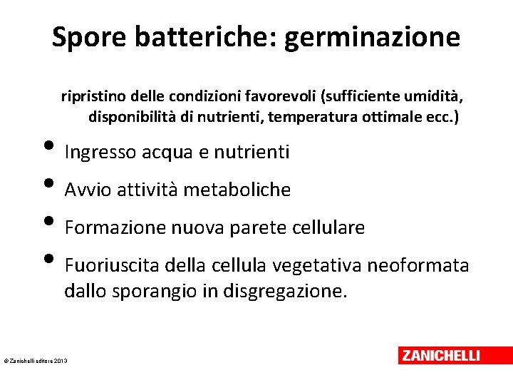 Spore batteriche: germinazione ripristino delle condizioni favorevoli (sufficiente umidità, disponibilità di nutrienti, temperatura ottimale