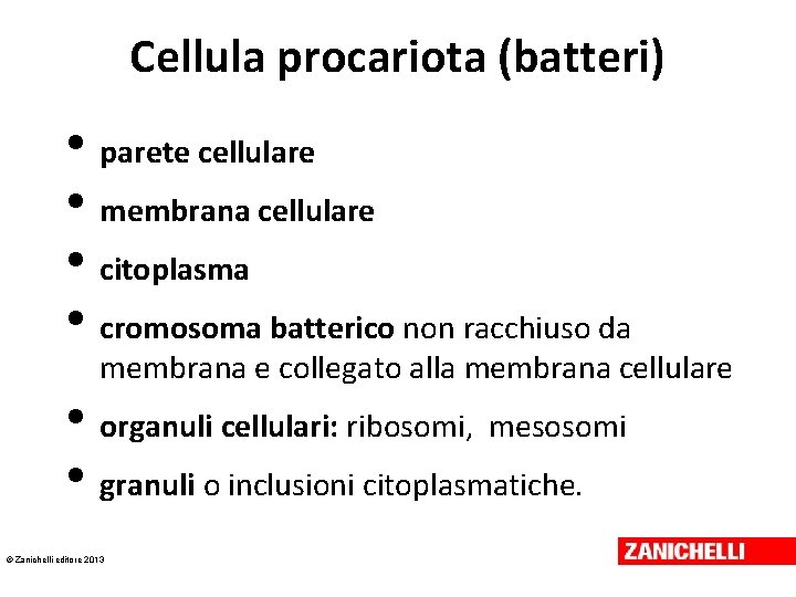 Cellula procariota (batteri) • parete cellulare • membrana cellulare • citoplasma • cromosoma batterico