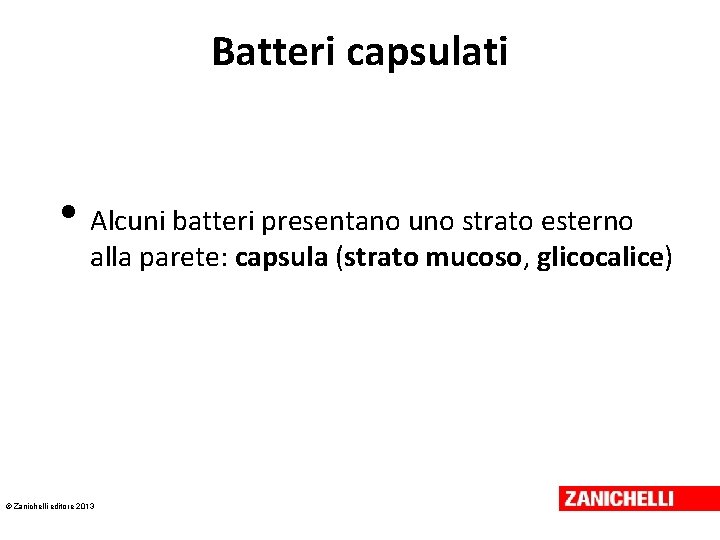 Batteri capsulati • Alcuni batteri presentano uno strato esterno alla parete: capsula (strato mucoso,