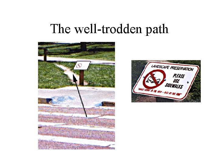 The well-trodden path 