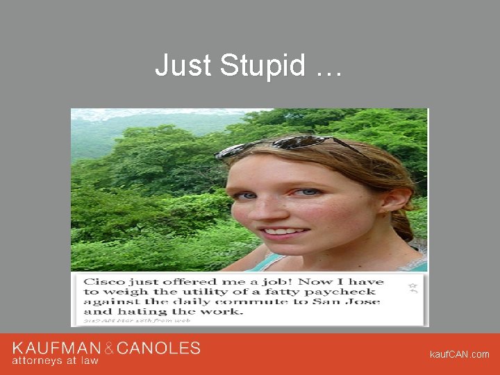 Just Stupid … kauf. CAN. com Just Stupid … kauf. CAN. com