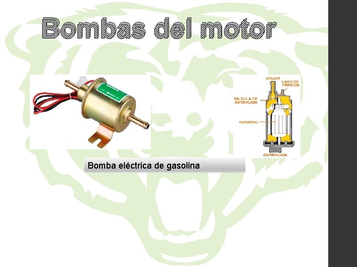 Bombas del motor Bomba eléctrica de gasolina 