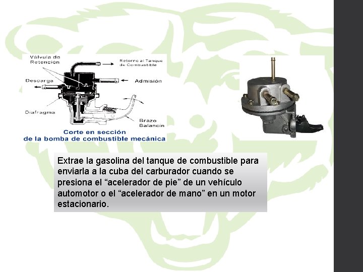 Extrae la gasolina del tanque de combustible para enviarla a la cuba del carburador