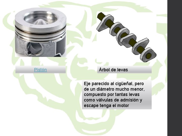 Pistón Árbol de levas Eje parecido al cigüeñal, pero de un diámetro mucho menor,