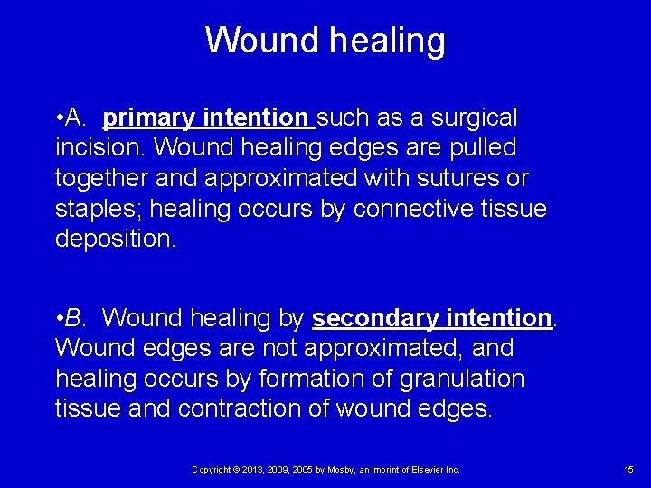Wound healing • A. primary intention such as a surgical incision. Wound healing edges Wound healing • A. primary intention such as a surgical incision. Wound healing edges