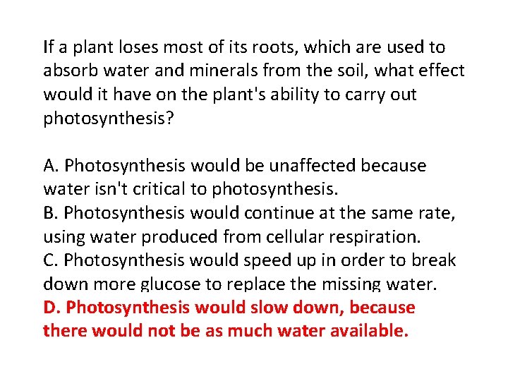 If a plant loses most of its roots, which are used to absorb water