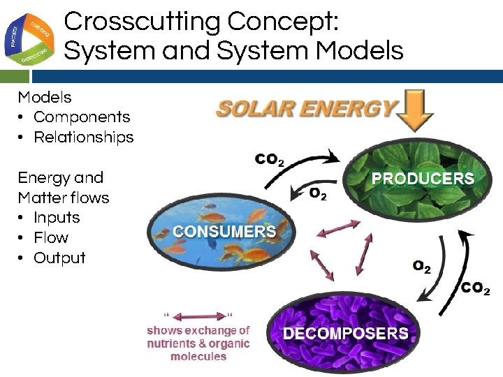 Crosscutting Concept: System and System Models • Components • Relationships Energy and Matter flows