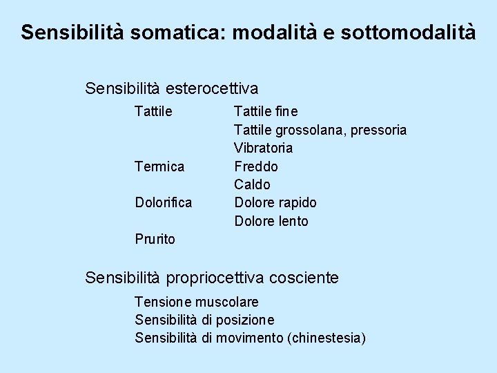 Sensibilità somatica: modalità e sottomodalità Sensibilità esterocettiva Tattile Termica Dolorifica Tattile fine Tattile grossolana,