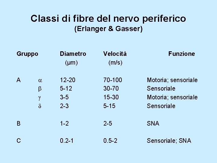 Classi di fibre del nervo periferico (Erlanger & Gasser) Gruppo Diametro (μm) Velocità (m/s)