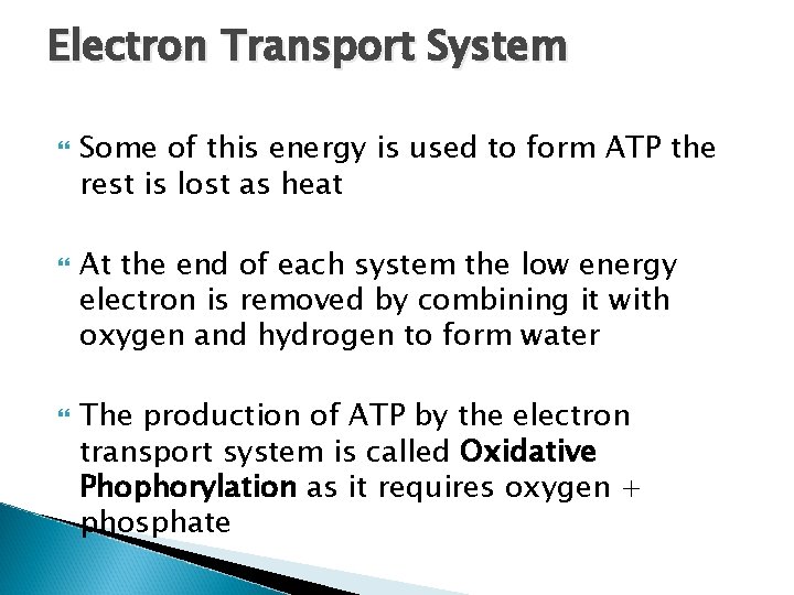 Electron Transport System Some of this energy is used to form ATP the rest