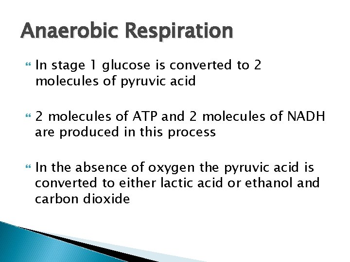 Anaerobic Respiration In stage 1 glucose is converted to 2 molecules of pyruvic acid