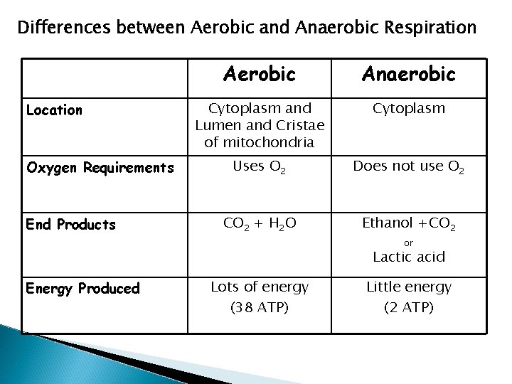 Differences between Aerobic and Anaerobic Respiration Location Oxygen Requirements End Products Aerobic Anaerobic Cytoplasm