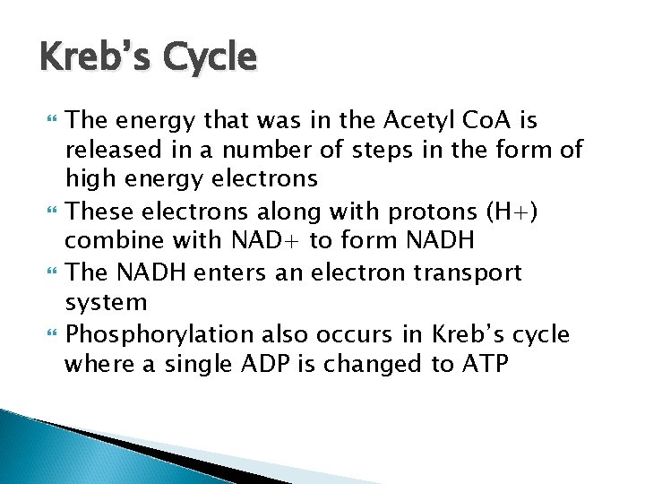 Kreb’s Cycle The energy that was in the Acetyl Co. A is released in