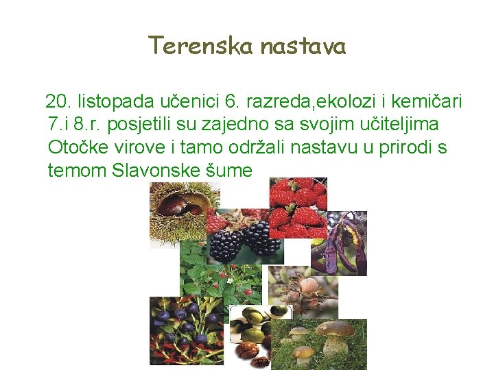Terenska nastava 20. listopada učenici 6. razreda, ekolozi i kemičari 7. i 8. r.