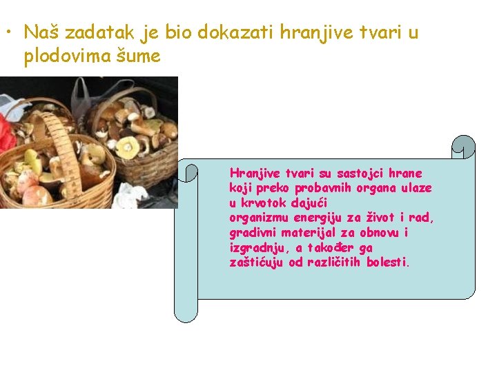  • Naš zadatak je bio dokazati hranjive tvari u plodovima šume Hranjive tvari