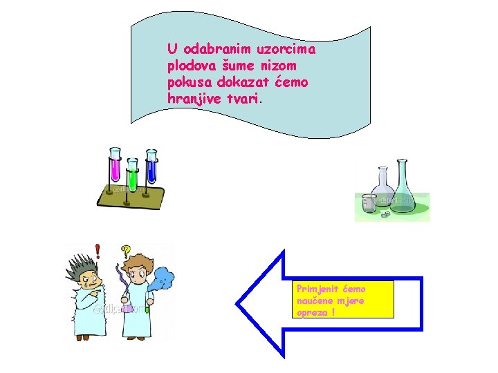 U odabranim uzorcima plodova šume nizom pokusa dokazat ćemo hranjive tvari. Primjenit ćemo naučene