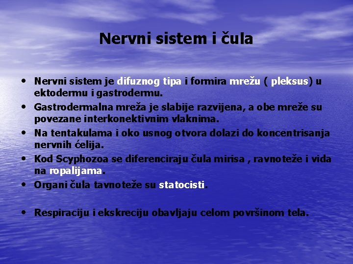 Nervni sistem i čula • Nervni sistem je difuznog tipa i formira mrežu (